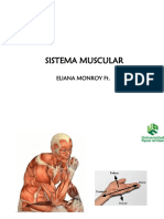 Edf Sistema Muscular Mano