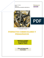 Formatos Curriculars y Pedagogicos - Planificaciones - Producciones Docentes 2011 PDF