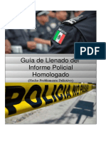 GuíadellenadodelIPH-Delitos-3.pdf