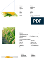 Plant and animal kingdoms, divisions, classes, orders, families, genera and species