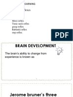 Newborn Reflexes Brain Development Learning Models