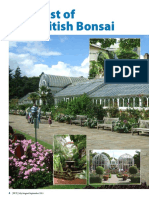Best of British Bonsai Birmingham Botanical Gardens Best of British Bonsai Awards