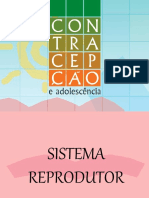 Cien 8ano SistReprodutorMetodosContraceptivos Branca