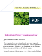 Colecciones microbianas