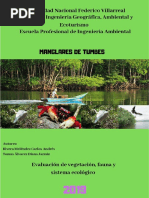 RIVERA MELENDEZ CARLOS - TOMAS ALVAREZ DIANA info01-MANGLARES