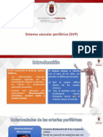 Sistema Vascular Periferico