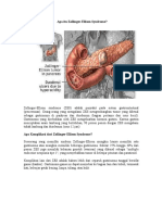 Zollinger - Ellison Syndrome