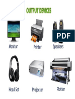 Output Devices