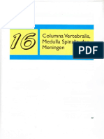 Bab 16 Columna Vertebralis, Medulla Spinalis, dan Meningen.pdf