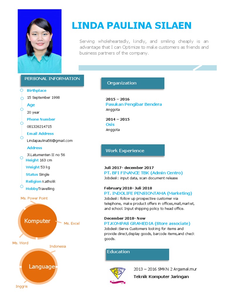 CV English | PDF | Information Technology | Computing