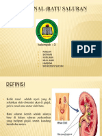 Colic Renal (Batu Saluran Kemih)