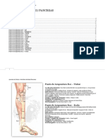 Puntos Acupuntura2