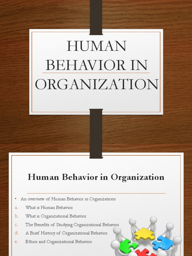 Understanding Human Behavior in Organizations | PDF | Motivation ...
