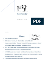 Campylobacter Presentation