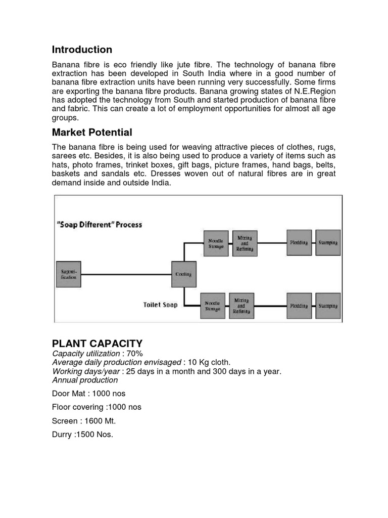Project Report On Banana Fiber Extraction PDF Capital (Economics