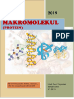3.11 XII Makromolekul (Protein) 1913044001 Niluh Devi Yulyantari