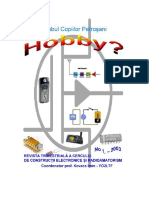 HOBBY.1-1-2003.pdf