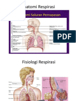 Anatomi Respirasi