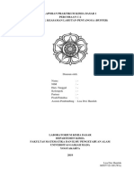Format PKD I C-2 Non Mipa