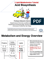 Fatty Acid Biosynthesis: LIPID MAPS Lipid Metabolomics Tutorial