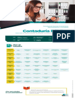 Contaduria Publica 2019