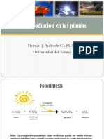 Uso Radiacion en Plantas PDF