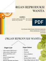 Organ Reproduksi KLMPK 8