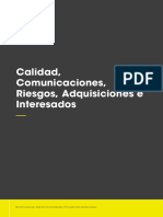 Calidad, Comunicaciones, Riesgos, Adquisiciones e Interesados.pdf