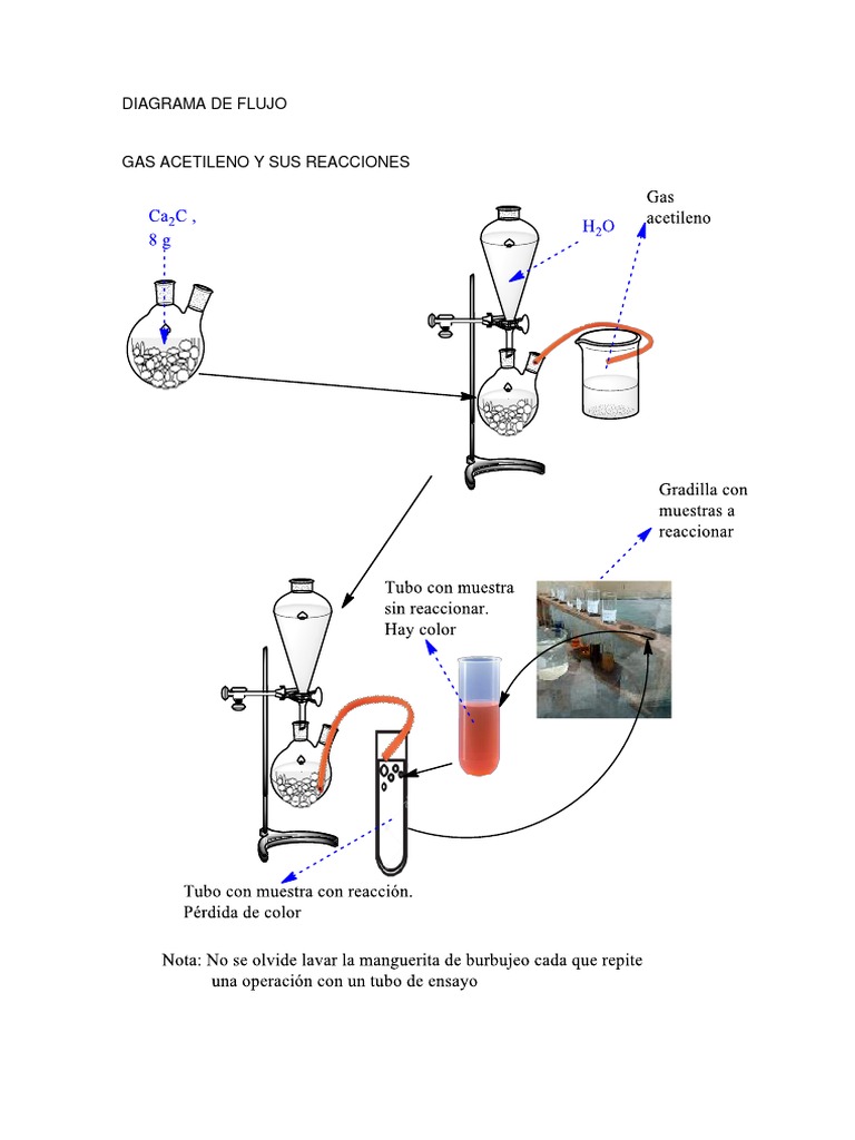 DIagrama de Flujo de ORganica PDF
