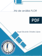 Matriz de Analisis Flor