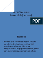 Leziunele Celulare Ireversibile (Necroza) .