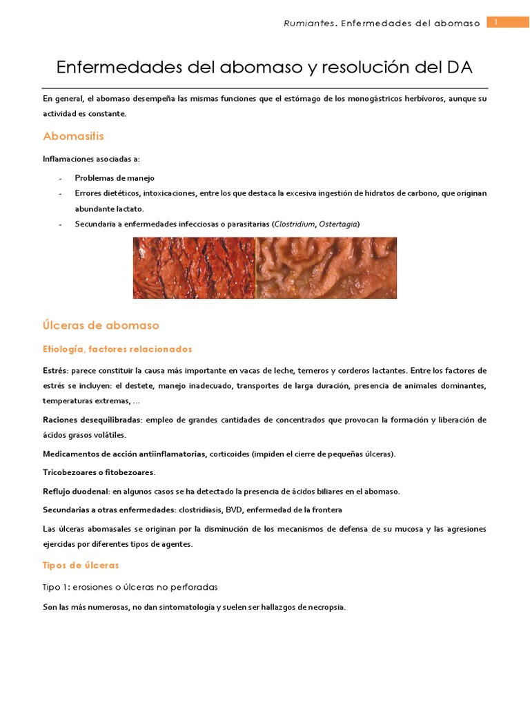 Enfermedades del Abomaso en Rumiantes | PDF | Anemia | Rumiante
