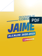 Programa de Gobierno PDF