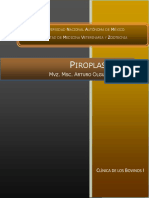 piroplasmosis.pdf