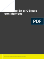 INTRODUCCION AL CALCULO CON MATRICES.pdf