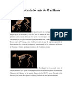 Evolución Del Caballo