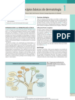 1 Principios Básicos de Dermatología PDF
