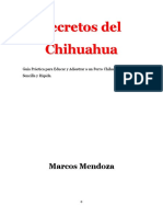 Secretos del Chihuahua