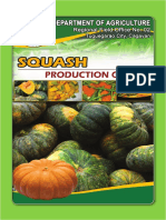 Squash