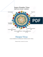 Herpes Virus Jeje