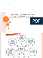 Programa de Adecuacion y Manejo Ambiental PAMA