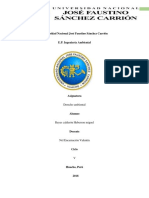 Derecho Ambiental.docx Reyes Calderon - Copia (2) - Copia