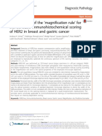 Physical Basis of The Magnification Rule' For Standardized Immunohistochemical Scoring of HER2 in Breast and Gastric Cancer