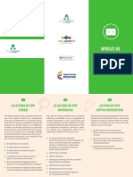 Plegable Niveles de Comprension Lectora Leng PDF