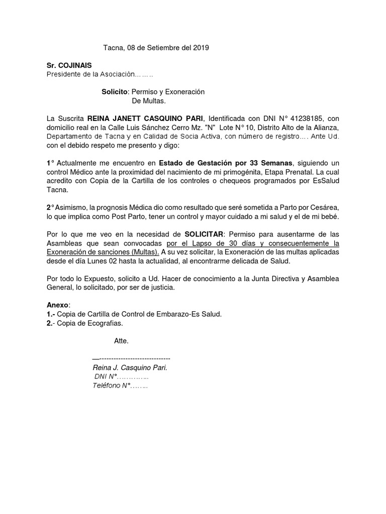 Solicitud de Permiso y Exoneración de Multas PDF