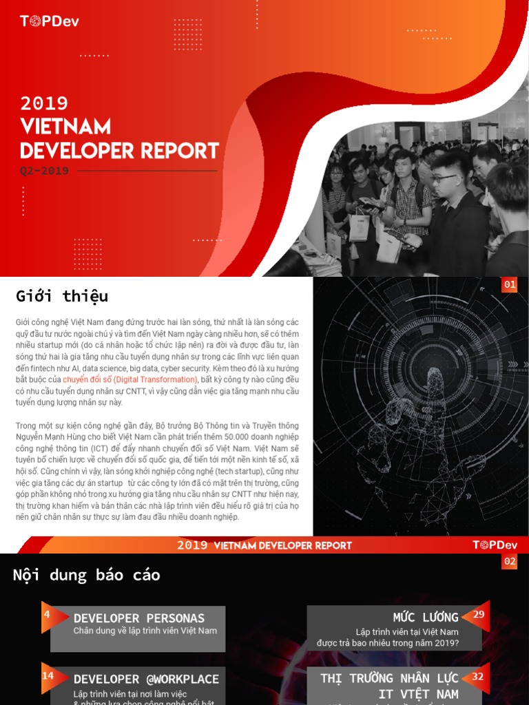 Vietnam Developer Report | PDF