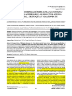 Hongo en Anfibios PDF