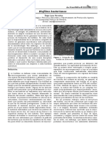 Biofilms bacteriano.pdf