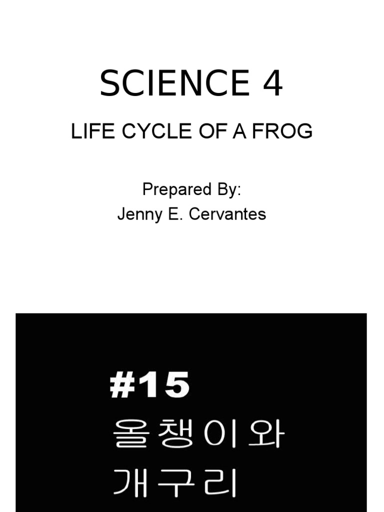 Science 4 Life Cycle of A Frog PDF Frog Egg