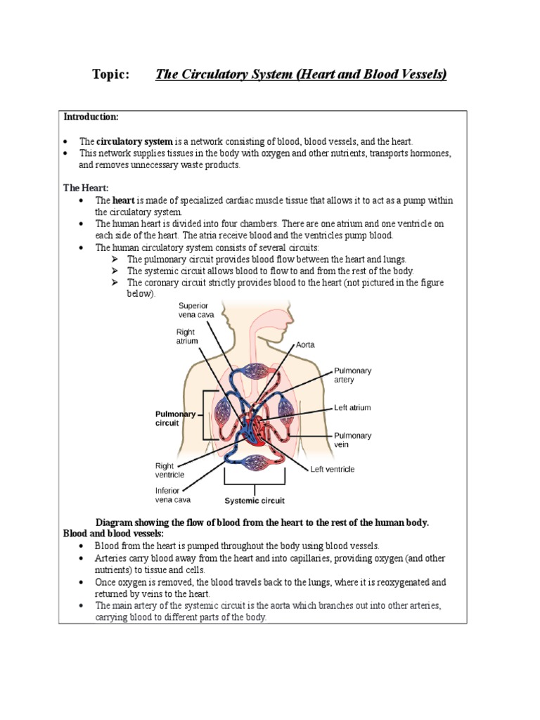 Topic:: The Circulatory System (Heart and Blood Vessels) | PDF ...